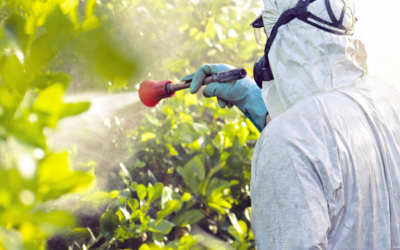 Europese Commissie trekt omstreden voorstel tot halvering pesticiden in 2030 in