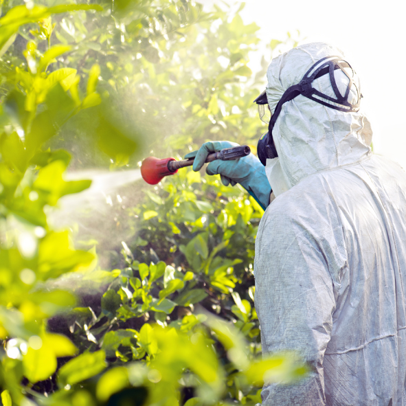 Europese Commissie trekt omstreden voorstel tot halvering pesticiden in 2030 in